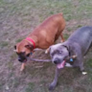 Meet your Posher, Frank